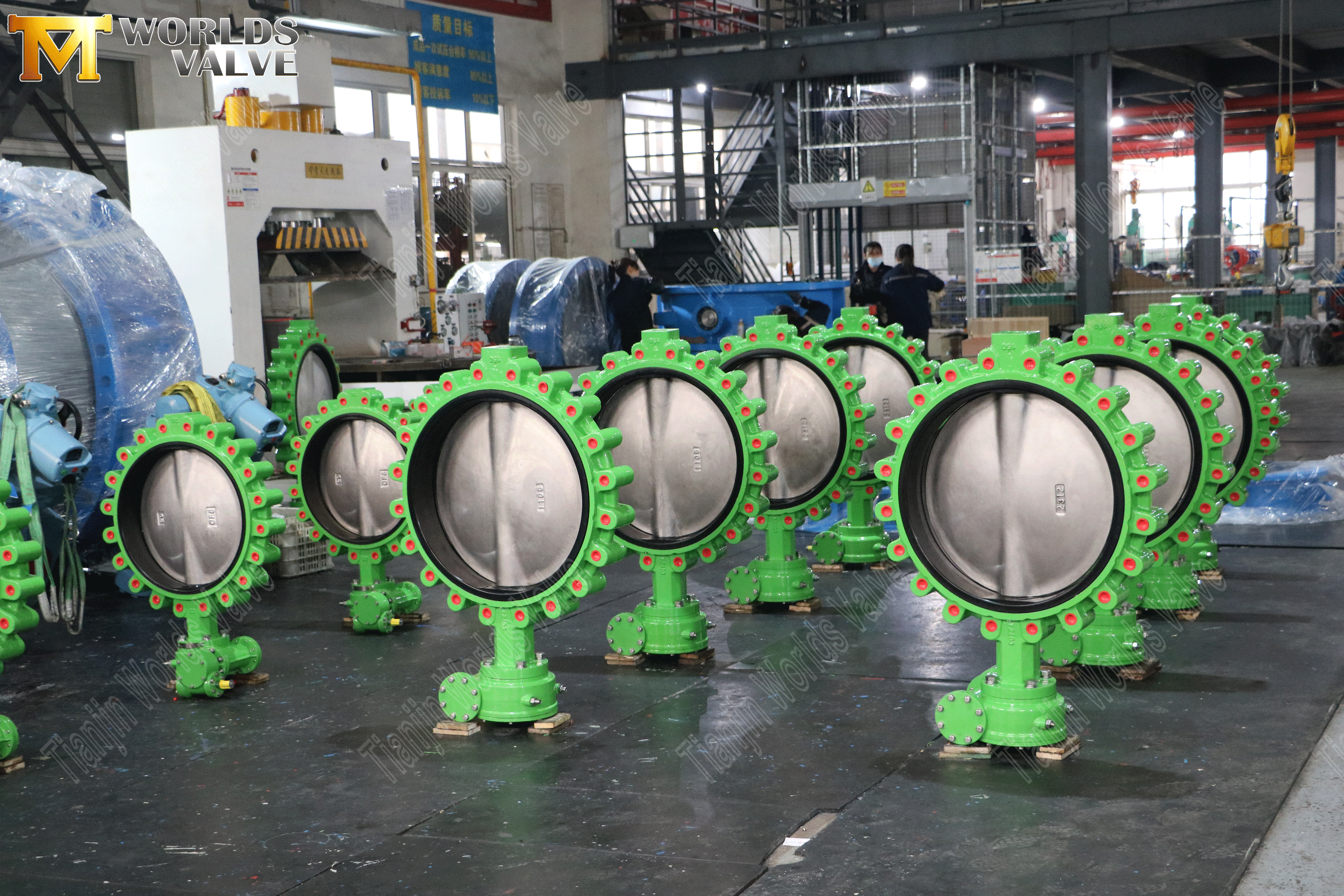 벌레 기어 연산자가있는 러그 동심 나비 vavles (3)