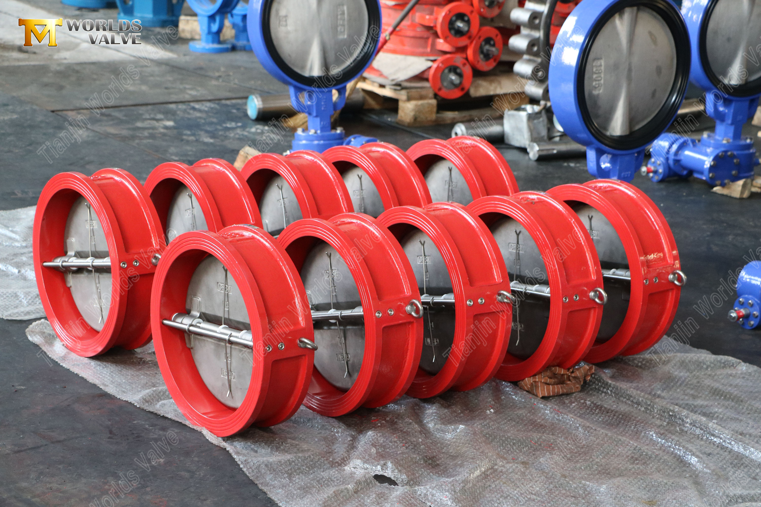 24-DN600-GGG40-바디-CF8M-디스크-이중-플레이트-웨이퍼-체크-밸브-PN10--신뢰할 수 있는-밸브-공급업체-3