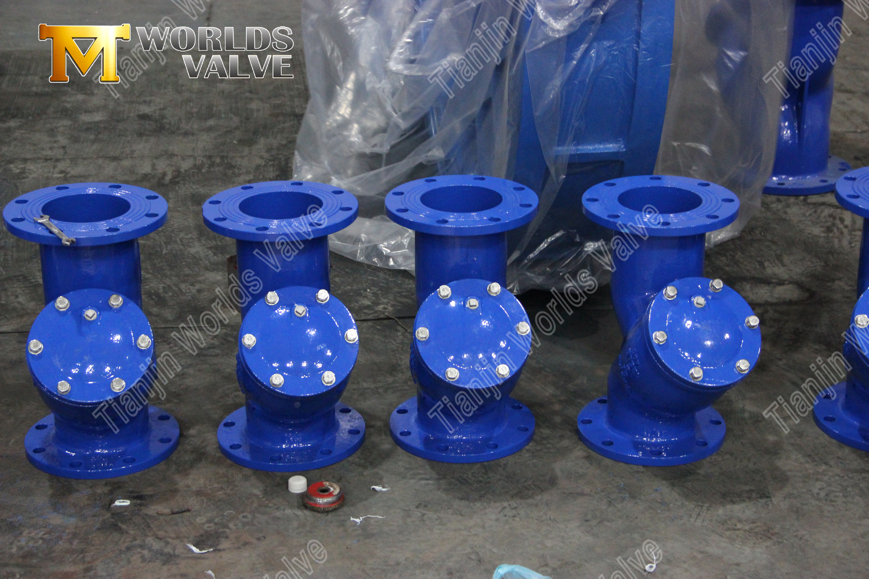 플랜지 Y형 스트레이너 WCB 탄소강 산업용 파이프라인 보호 (7)