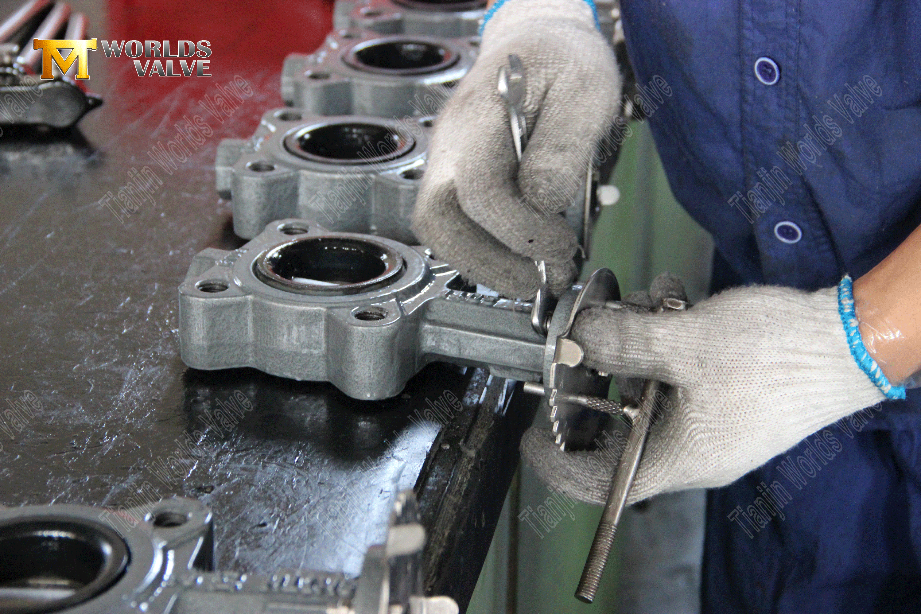 OEM ODM 밸브 제조업체-루그 스타일 복원 시트 좌석 나비 밸브 (5)