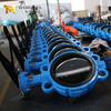 6인치 웨이퍼 버터플라이 밸브 - 클래스 150, CF8M 디스크, EPDM 시트