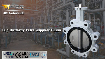 Lug Butterfly Valve DI Body CF8M Disc Replaceable Soft EPDM Seat OEM Customizable.jpg