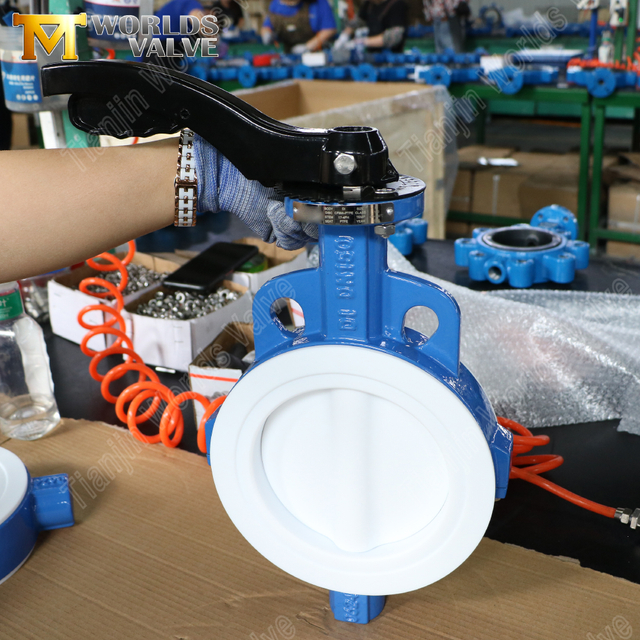 PTFE 웨이퍼 버터플라이 밸브 – PTFE 캡슐형 디스크, 클래스 150, OEM 제조업체