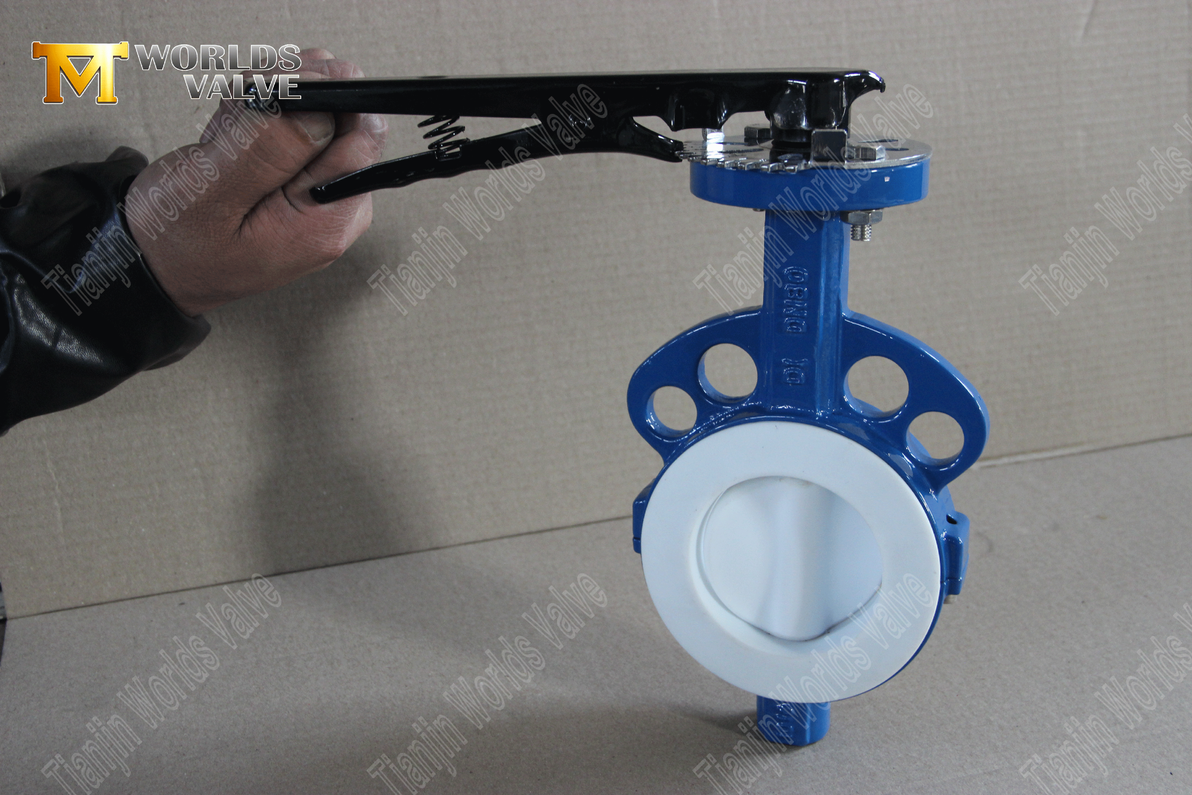 PTFE 웨이퍼 버터플라이 밸브 – PTFE 캡슐형 디스크, 클래스 150, OEM 제조업체(3).png